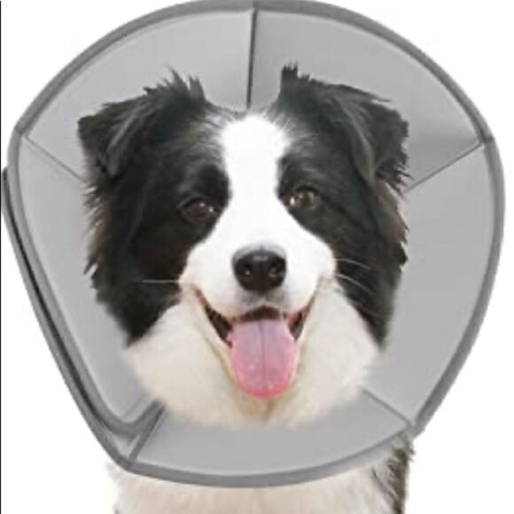Dog cone for post surgery - Picture 1 of 9